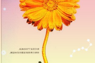 旭升股份603305:营收同比大幅增长客户结构逐步多元化